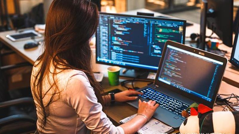 软件开发合同规范标准：构建稳固合作基石