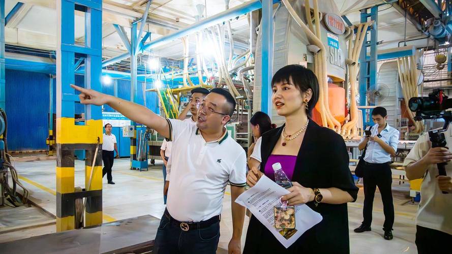 「家居一姐」设计师阿爽为金科背书 一场跨界联动背后的行业信号